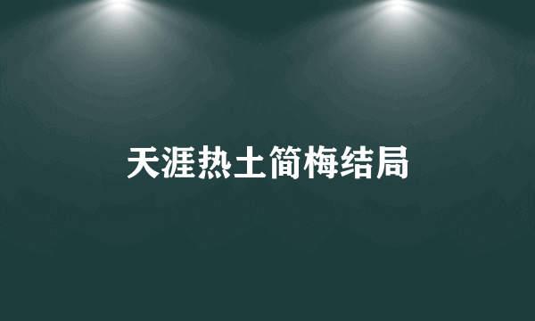 天涯热土简梅结局