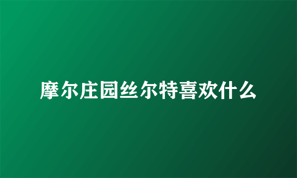 摩尔庄园丝尔特喜欢什么