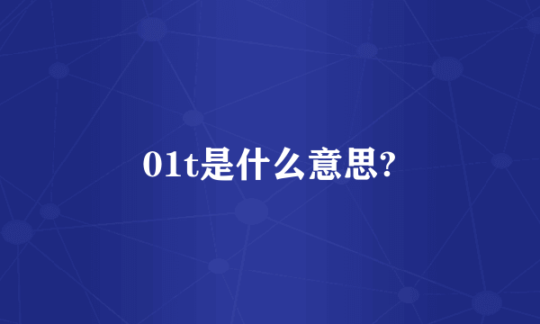 01t是什么意思?
