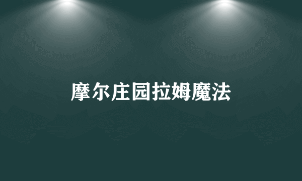 摩尔庄园拉姆魔法