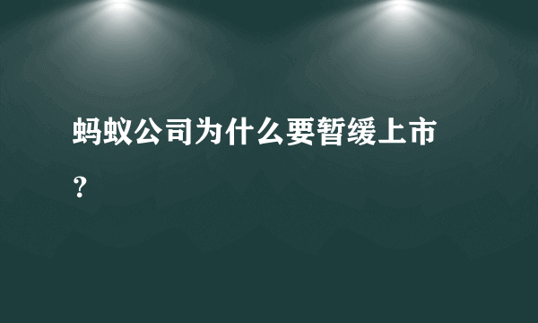 蚂蚁公司为什么要暂缓上市 ？