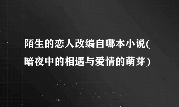 陌生的恋人改编自哪本小说(暗夜中的相遇与爱情的萌芽)