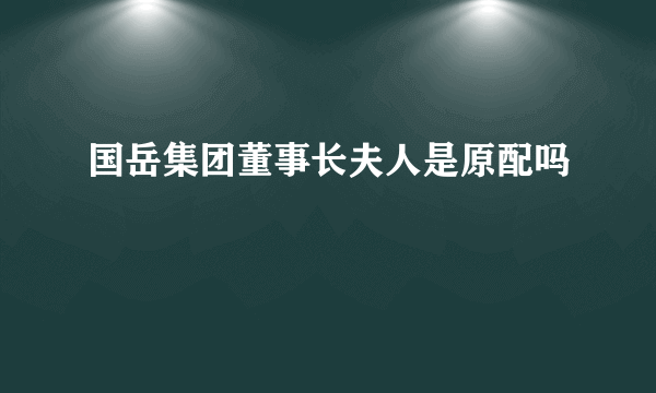 国岳集团董事长夫人是原配吗