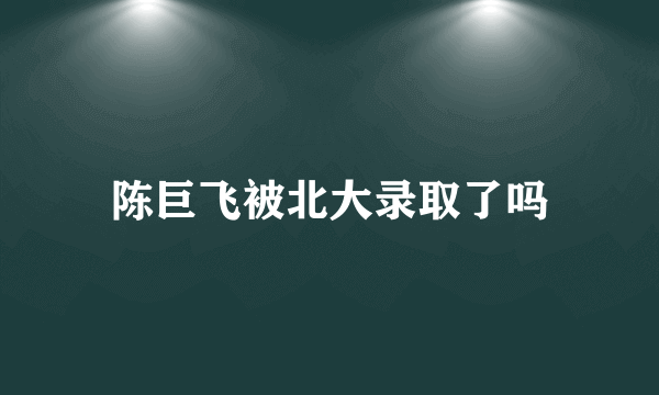 陈巨飞被北大录取了吗