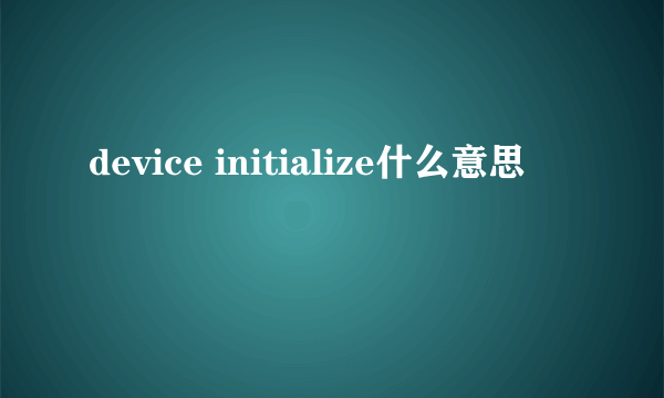 device initialize什么意思