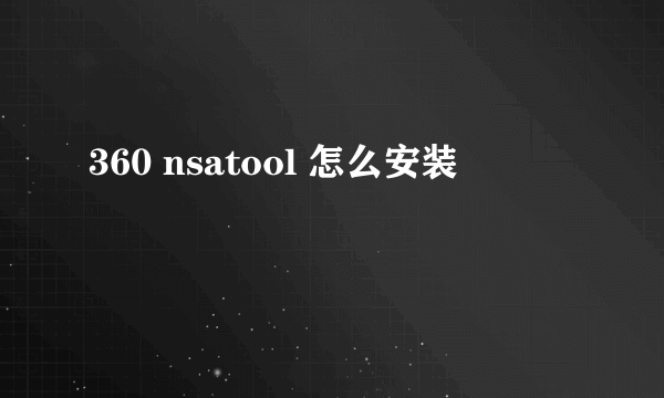 360 nsatool 怎么安装