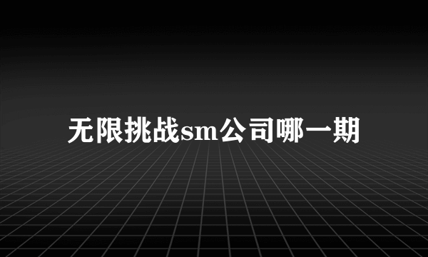 无限挑战sm公司哪一期