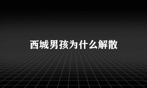 西城男孩为什么解散