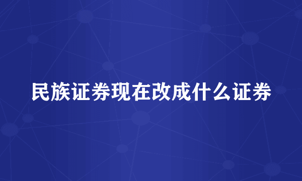 民族证券现在改成什么证券
