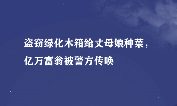 盗窃绿化木箱给丈母娘种菜，亿万富翁被警方传唤