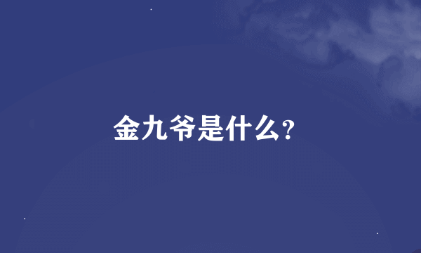 金九爷是什么？