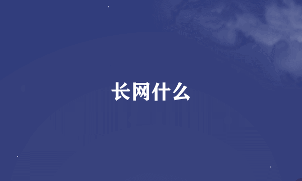 长网什么