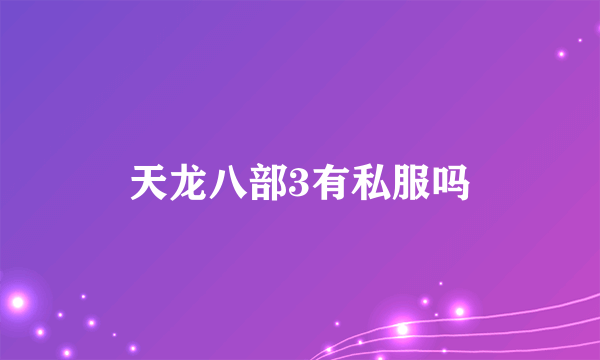 天龙八部3有私服吗