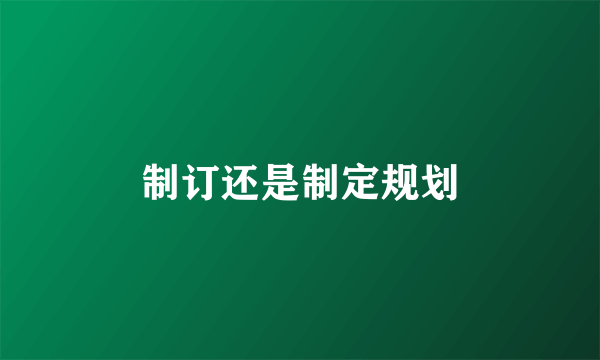 制订还是制定规划
