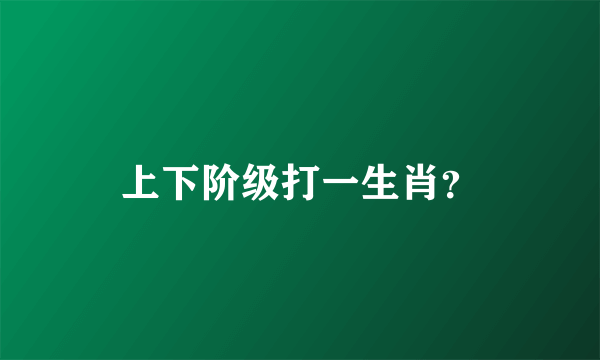上下阶级打一生肖？