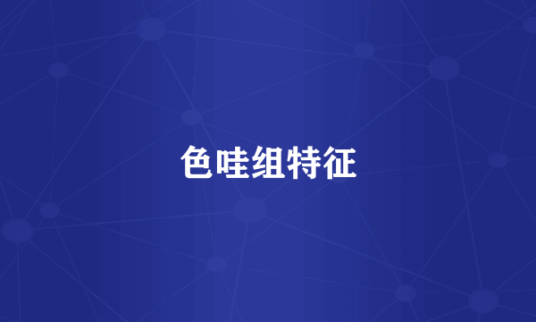 色哇组特征
