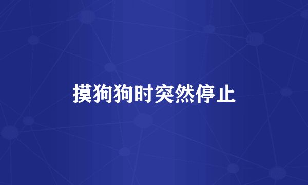 摸狗狗时突然停止