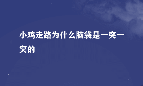 小鸡走路为什么脑袋是一突一突的