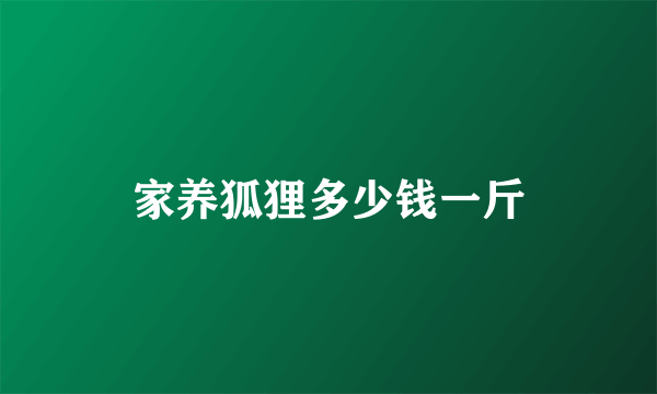 家养狐狸多少钱一斤