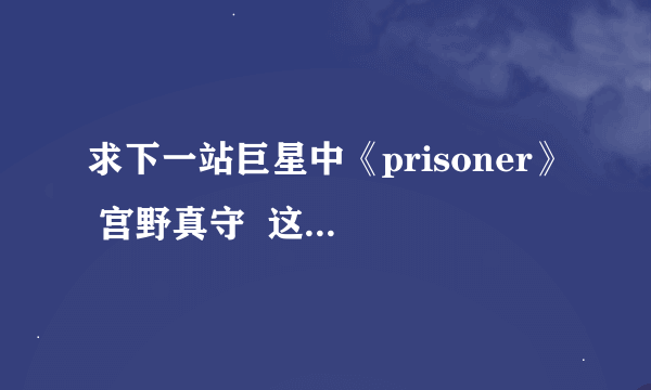 求下一站巨星中《prisoner》 宫野真守  这首歌的中文歌词~