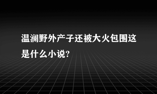 温澜野外产子还被大火包围这是什么小说?