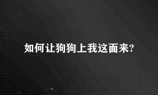 如何让狗狗上我这面来?
