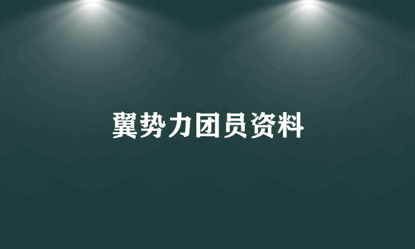 翼势力团员资料