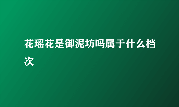 花瑶花是御泥坊吗属于什么档次