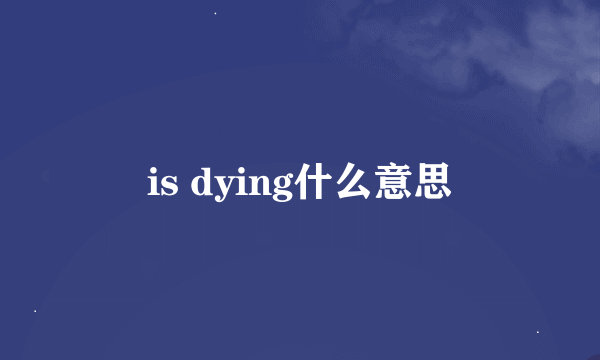 is dying什么意思