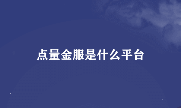 点量金服是什么平台