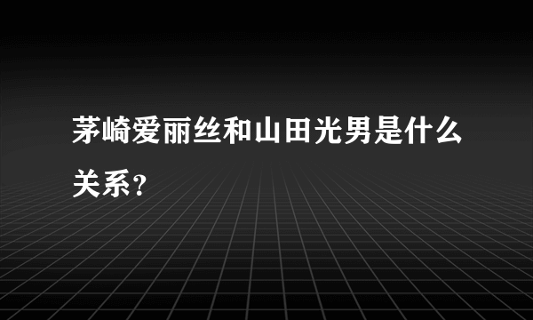 茅崎爱丽丝和山田光男是什么关系？