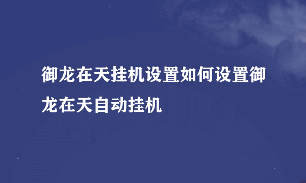 御龙在天挂机设置如何设置御龙在天自动挂机
