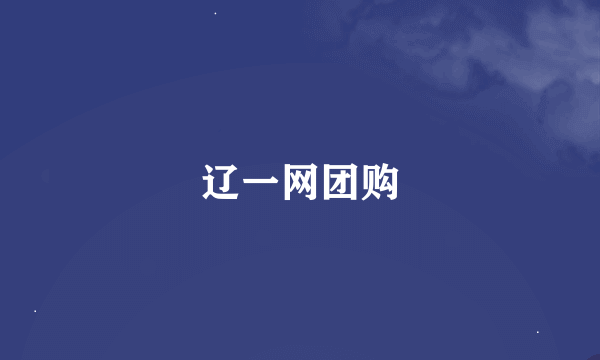 辽一网团购