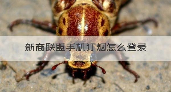新商联盟手机订货 新商联盟手机订烟怎么登录