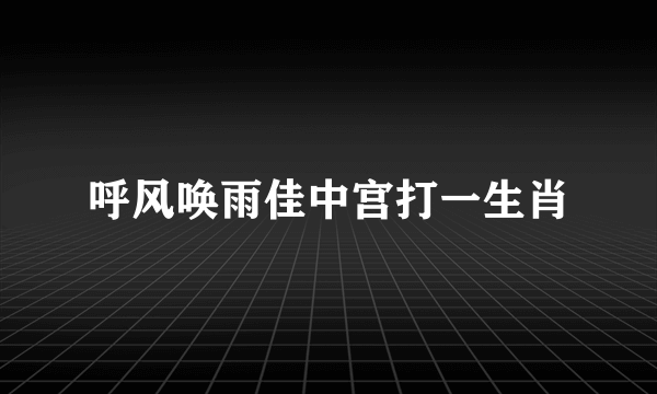 呼风唤雨佳中宫打一生肖