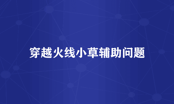 穿越火线小草辅助问题