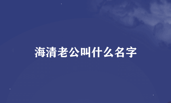 海清老公叫什么名字
