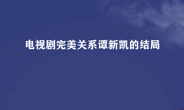 电视剧完美关系谭新凯的结局