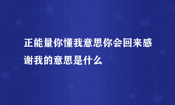 正能量你懂我意思你会回来感谢我的意思是什么