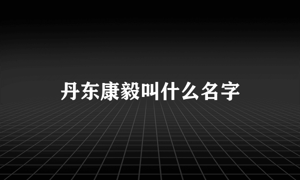 丹东康毅叫什么名字