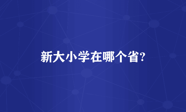 新大小学在哪个省?