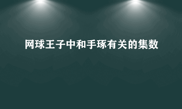 网球王子中和手琢有关的集数
