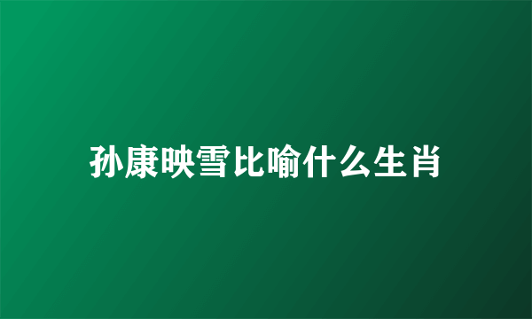 孙康映雪比喻什么生肖