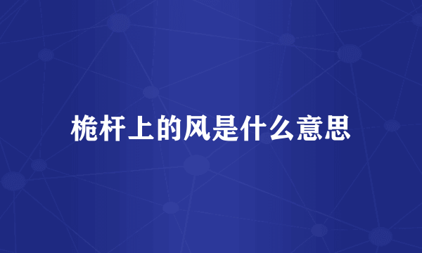 桅杆上的风是什么意思