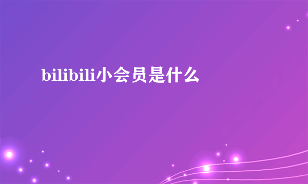 bilibili小会员是什么