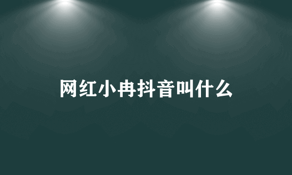 网红小冉抖音叫什么