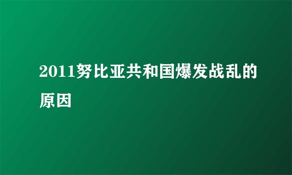 2011努比亚共和国爆发战乱的原因