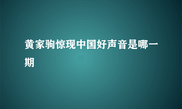 黄家驹惊现中国好声音是哪一期