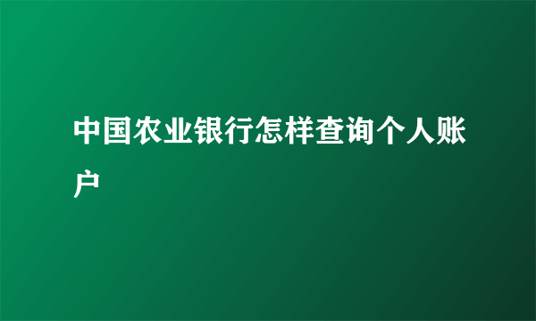 中国农业银行怎样查询个人账户