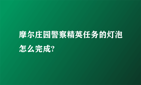 摩尔庄园警察精英任务的灯泡怎么完成?